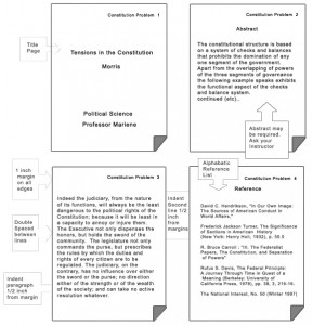 Example of an essay with apa format