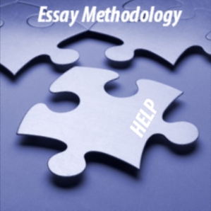Essay Methodology