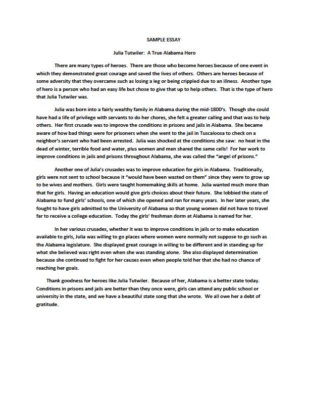 Heroism Essay Example My hero essays