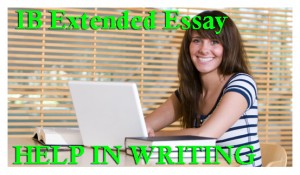 Toefl Test Sample Essay Paper