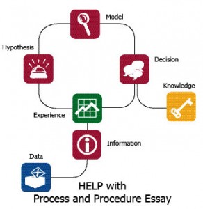 Example essay process and procedure pmr