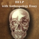 Antrophology Essay Help