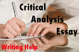 Critical essay help