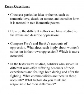 Essay Questions