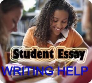 Student Essay Writing Help