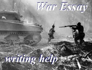 World war i essay, term papers, research paper