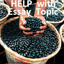 Choosing a good essay topic