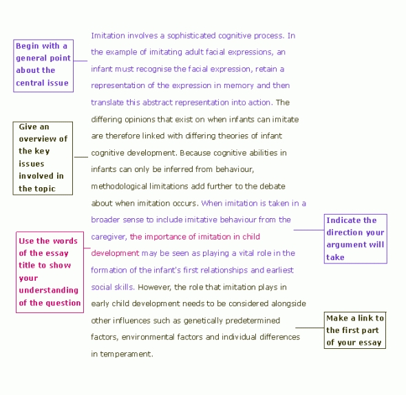 Introductions for global warming essays