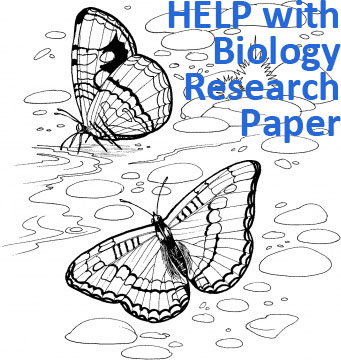 Where to buy research paper