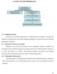 Methodology Thesis Help