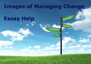 Essay On Managing Change