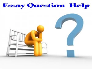 Essay Questions | College Admissions | The University of