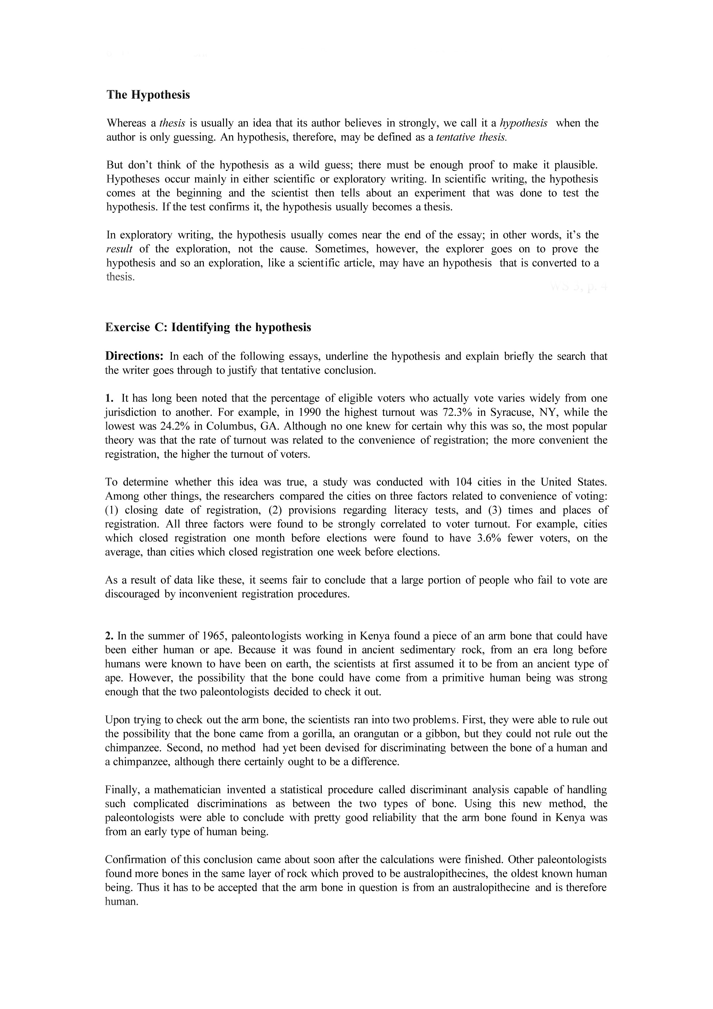 Hypothesis Essay Hypothesis Essay