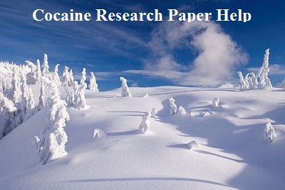 Cocaine Research Paper Help