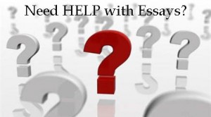Need help with essay?