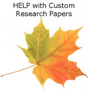 Research paper custom
