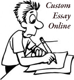 Custom Essay Outline