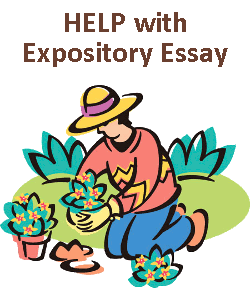 Help with expository essay